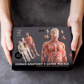 Thumbnail 2 - Human Anatomy Layer Puzzle