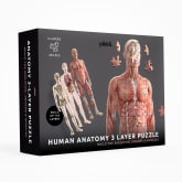 Thumbnail 4 - Human Anatomy Layer Puzzle
