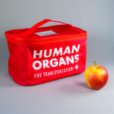 Thumbnail 3 - Human Organs Lunchbag