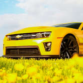 Thumbnail 7 - Bumblebee ZL1 Camaro Blast