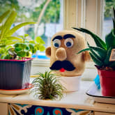 Thumbnail 2 - Grow Your Own Grass Head