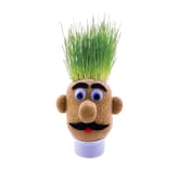 Thumbnail 5 - Grow Your Own Grass Head