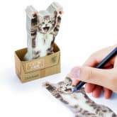 Thumbnail 1 - Cat In A Box - Sticky Notes