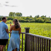 Thumbnail 9 - Luxury Under the Stars with Breakfast, Wine Tasting and Tour
