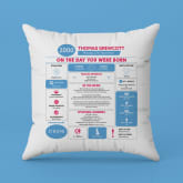 Thumbnail 9 - Personalised The Day You Were Born Birthday Cushion