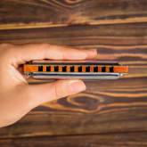 Thumbnail 3 - Harmonica Masterclass for Two