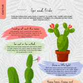 Thumbnail 2 - Please Don't Die: A Guide For Neglectful Houseplant Owners
