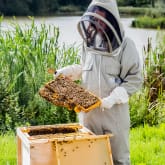 Thumbnail 1 - Hiver's Rural Beekeeping and Beer Tasting