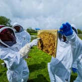 Thumbnail 3 - Hiver's Rural Beekeeping and Beer Tasting