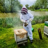 Thumbnail 4 - Hiver's Rural Beekeeping and Beer Tasting
