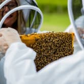 Thumbnail 5 - Hiver's Rural Beekeeping and Beer Tasting