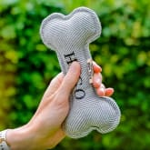 Thumbnail 3 - Named Squeaky Dog Toys