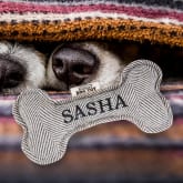 Thumbnail 6 - Named Squeaky Dog Toys
