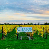 Thumbnail 2 - Vineyard Tour and Tasting at Chafor Wine Estate