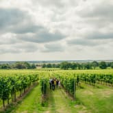 Thumbnail 3 - Gusbourne Estate Sparkling Wine Tasting for 2
