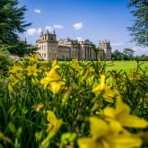 Thumbnail 1 - Entrance to Blenheim Palace & Three Course Lunch at Weston Manor for Two