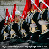 Thumbnail 11 - Visit to the Royal Mews & Household Cavalry Museum with Sparkling Tea for 2