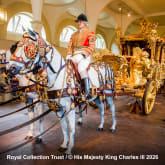 Thumbnail 7 - Visit to the Royal Mews & Household Cavalry Museum with Sparkling Tea for 2