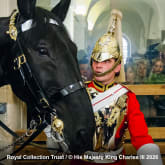 Thumbnail 9 - Entrance to the Household Cavalry Museum & 3 Course Lunch for Two