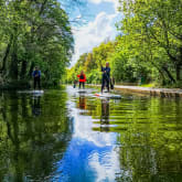 Thumbnail 3 - Private Paddleboard Tour for Two in London