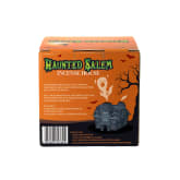 Thumbnail 5 - Haunted Salem Incense House