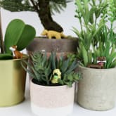 Thumbnail 1 - Adorable Dogs Plant Markers