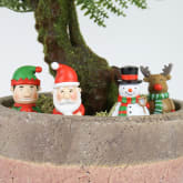 Thumbnail 4 - Mini Plant Pot Festive Gnomes