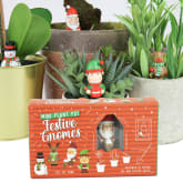 Thumbnail 2 - Mini Plant Pot Festive Gnomes