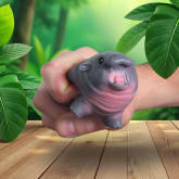 Thumbnail 1 - Squishmy Hippo