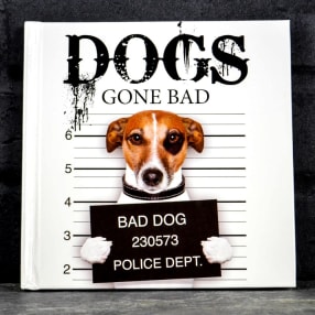 Dogs Gone Bad Real Life Stories Book