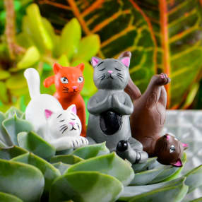 Pack of 4 Mini Plant Pot Yoga Cats