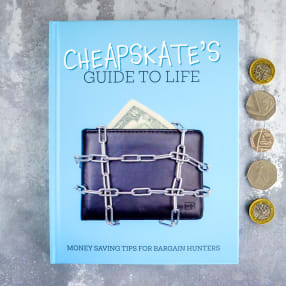 Cheapskates Guide to Life Book