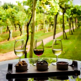 Vineyard Tour and Tasting for Two at Stanlake Park Wine Estate