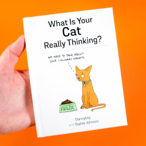 What Is Your Cat Really Thinking Illustrated Book