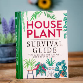 Houseplant Survival Guide Book
