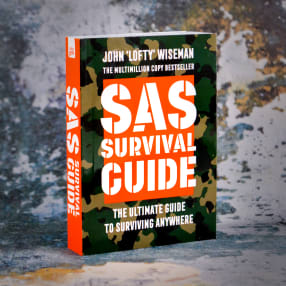 SAS Survival Guide