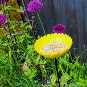Sunflower Garden Bird Feeder