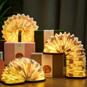 Velvet Accordian Lamps