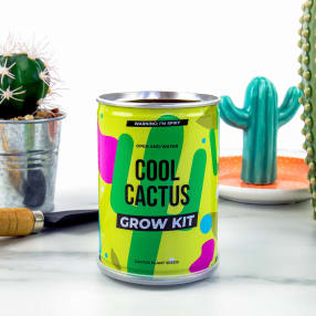 Cactus Grow Tin