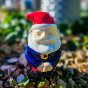 Self Watering Peeing Planter Gnome