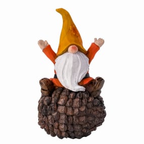 Autumn Gonk Sat on a Pinecone