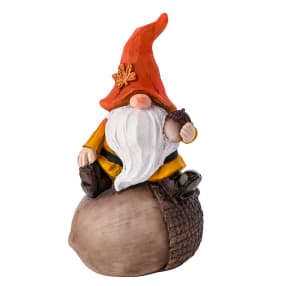 Autumn Gonk Sat on an Acorn