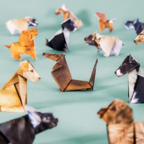 Paper Pups