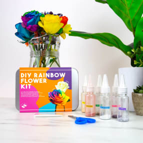 Rainbow Flowers DIY Kit