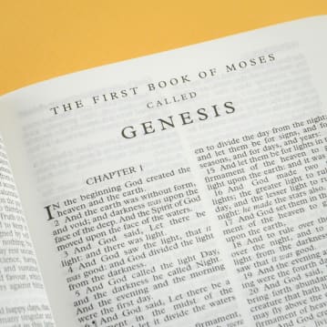 Personalised Bible