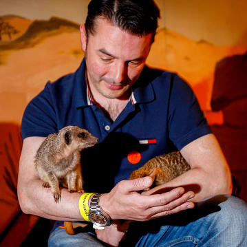 Meerkat Encounter Experience for Two