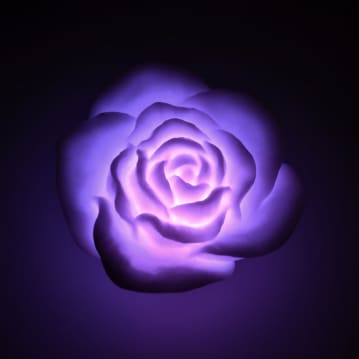 Floating Rose Bath Lights