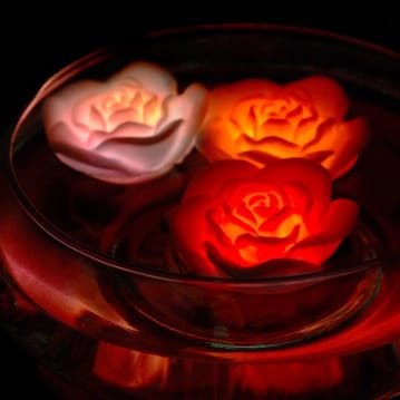 Floating Rose Bath Lights