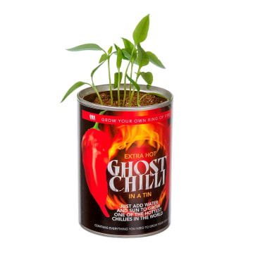 Grow Your Own Ghost Chilli