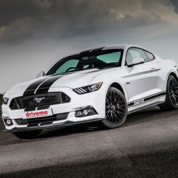 Ford Mustang Experience